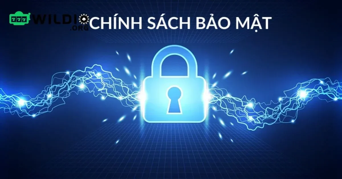 Chính Sách Bảo Mật Và Minh Bạch Của Wildio