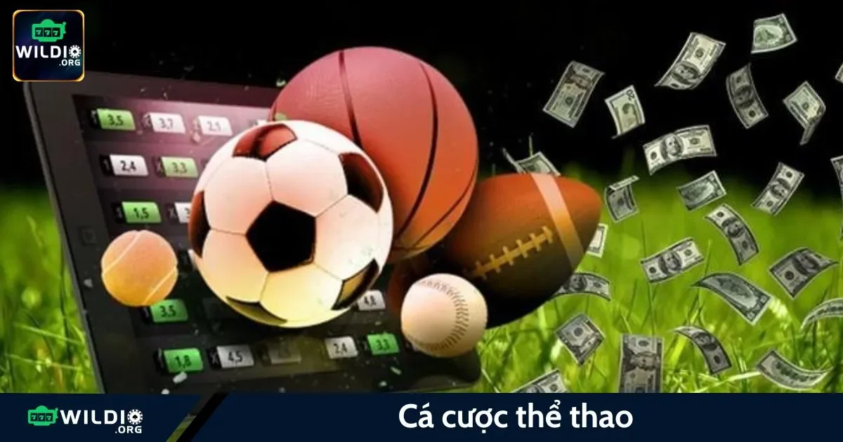 Cá Cược Thể Thao Wildio: Hòa Mình Vào Trận Cầu Đỉnh Cao