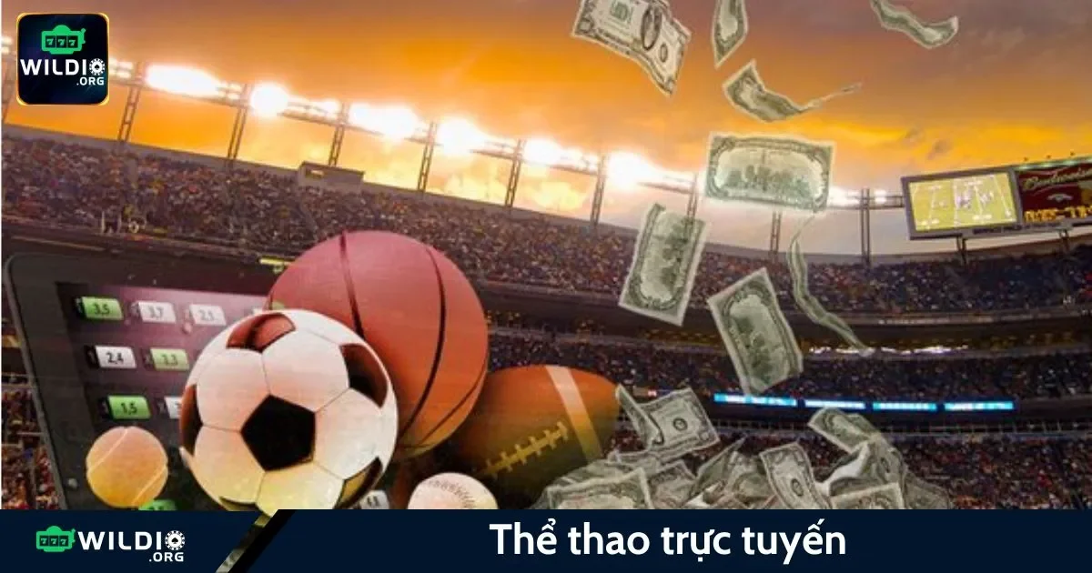 Thể Thao Trực Tuyến Wildio: Cá Cược Live: Đặt Cược Trong Thời Gian Thực