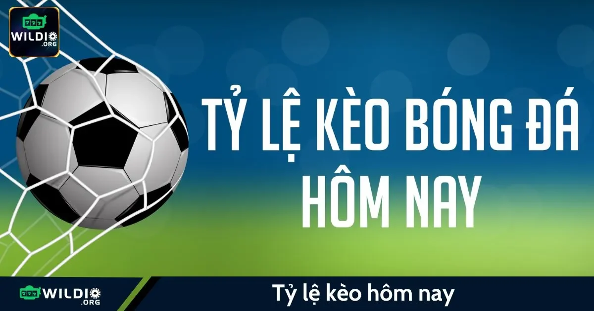 Tỷ Lệ Kèo Hôm Nay Wildio: Tỷ Lệ Kèo Là Gì?